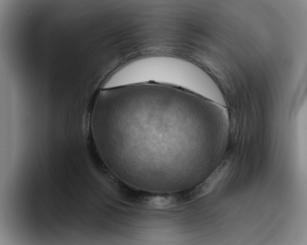 X0000096150168200802151401