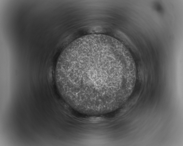 X0000096150169200802151401