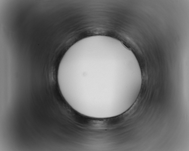 X0000096150170200802151401