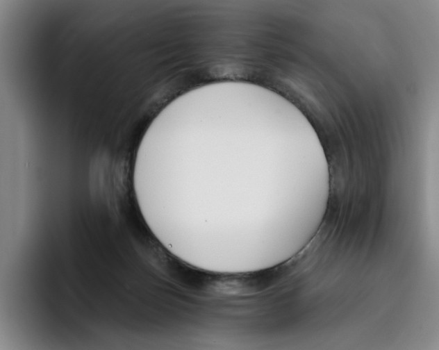 X0000096150171200802151401