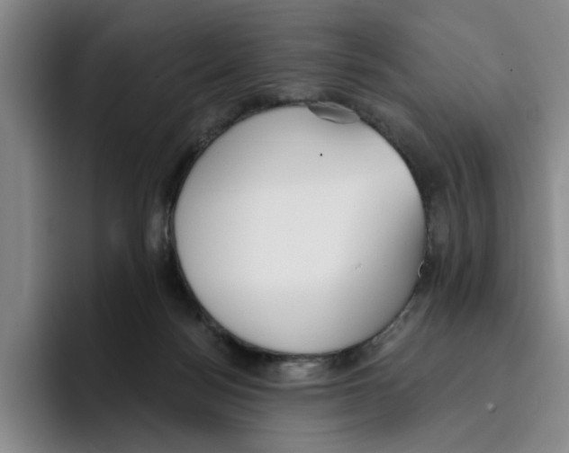 X0000096150172200802151401