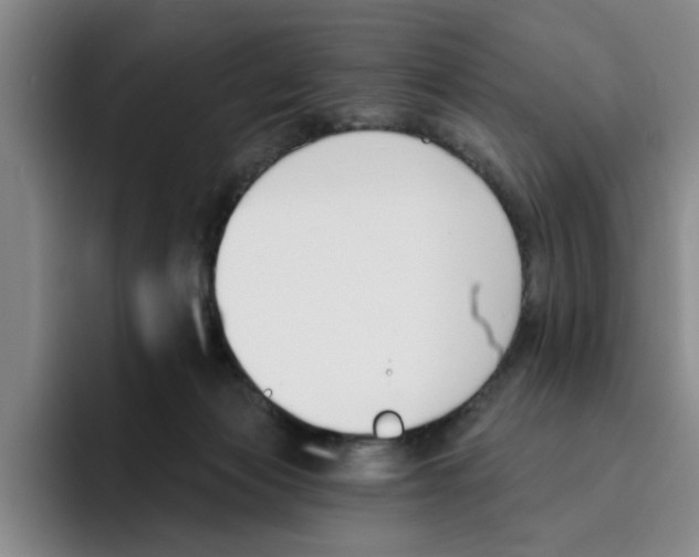 X0000096150173200802151401