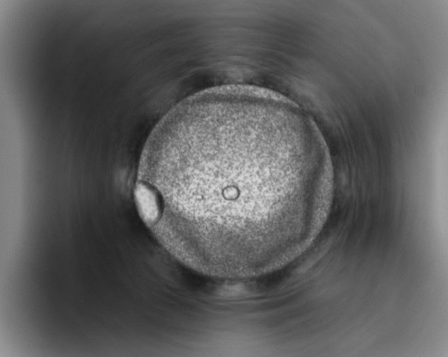 X0000096150177200802151401