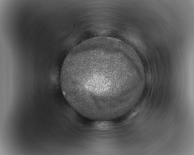 X0000096150181200802151402