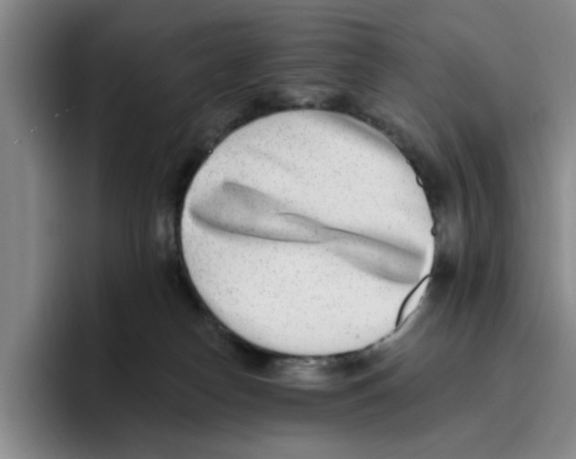 X0000096150182200802151402