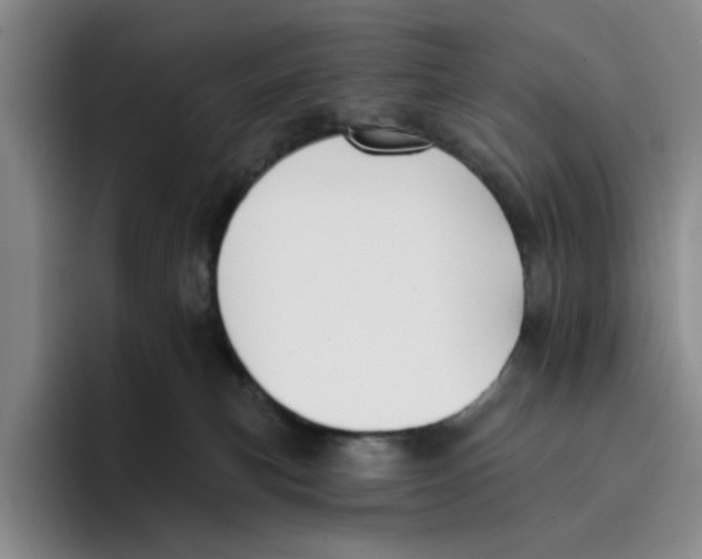 X0000096150183200802151402