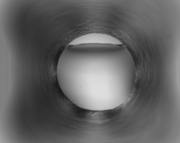 X0000096150186200802151402