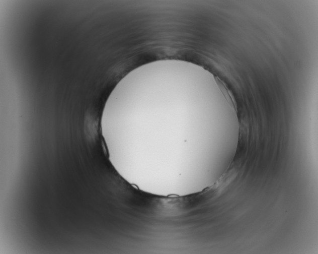 X0000096150188200802151402