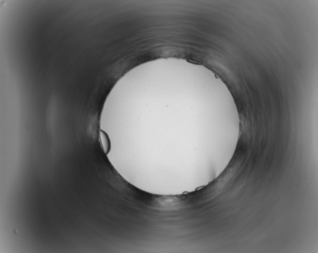 X0000096150189200802151402