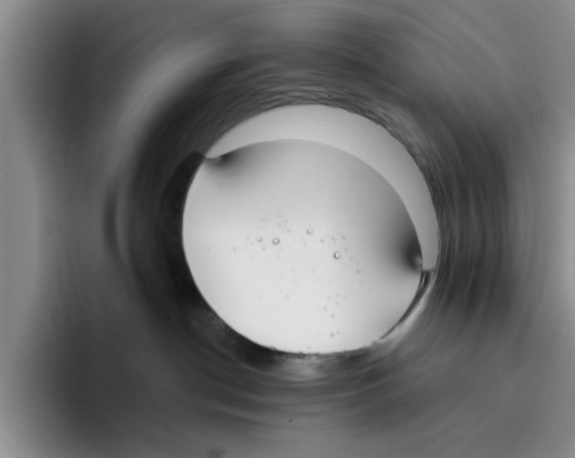 X0000096150190200802151402