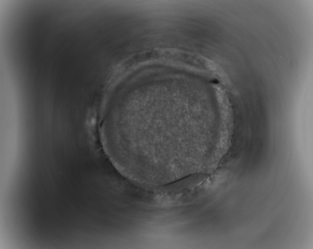 X0000096150192200802151402