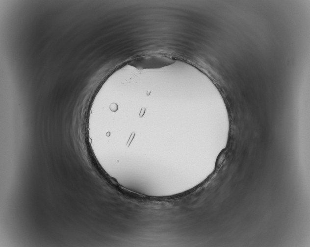 X0000096150193200802151401