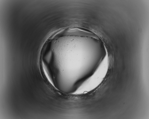 X0000096150195200802151401