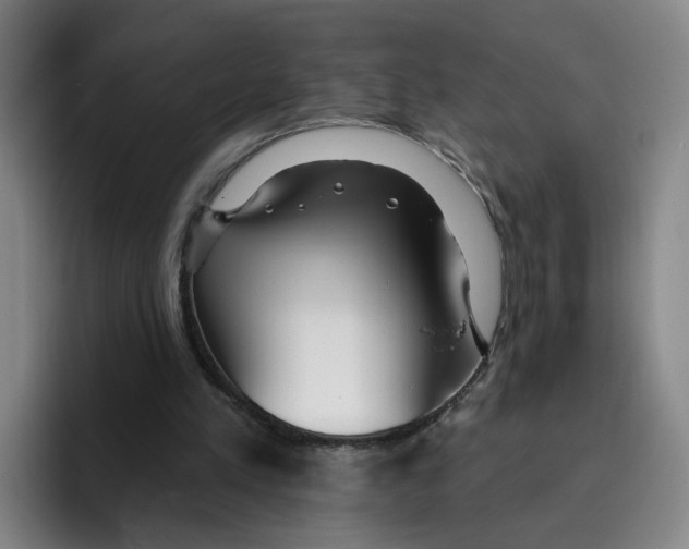 X0000096150197200802151401