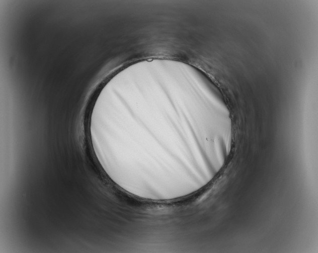 X0000096150198200802151401