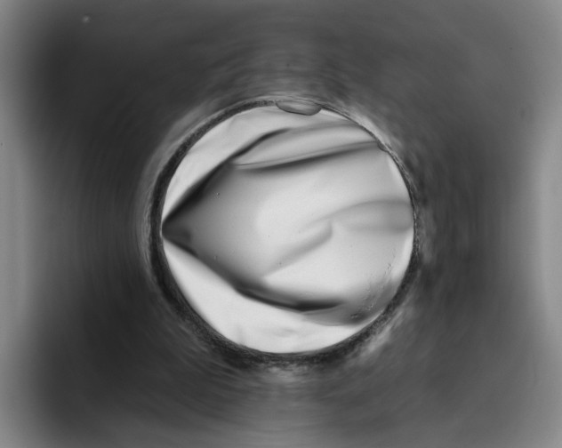 X0000096150199200802151401