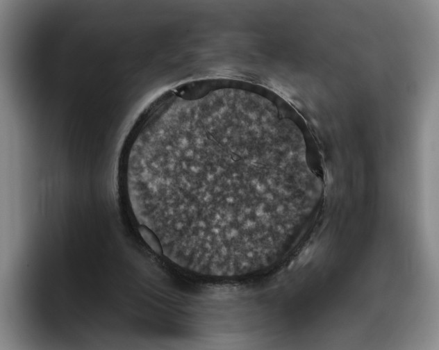 X0000096150200200802151401