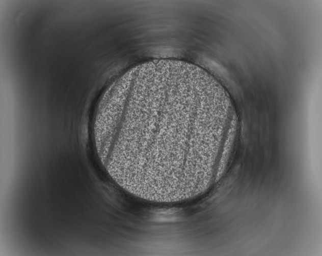 X0000096150202200802151401