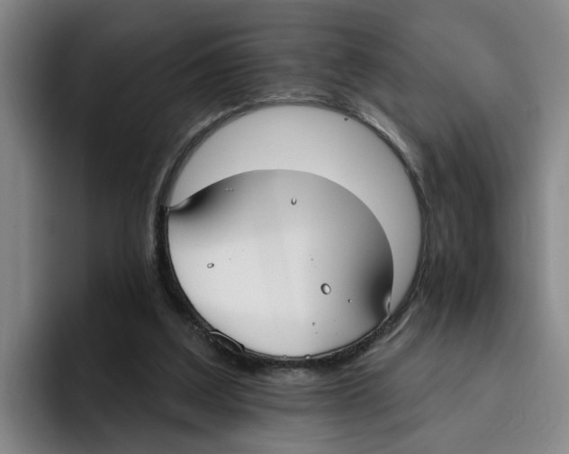 X0000096150203200802151401