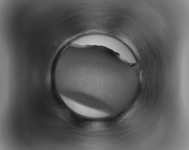 X0000096150204200802151401