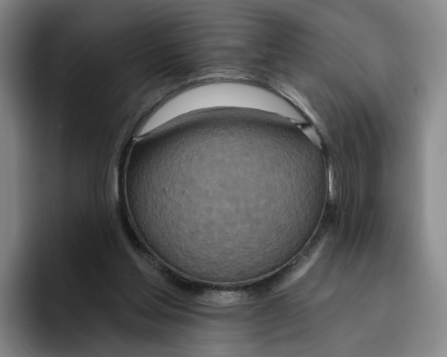 X0000096150205200802151401