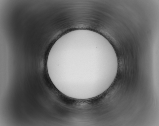 X0000096150208200802151401