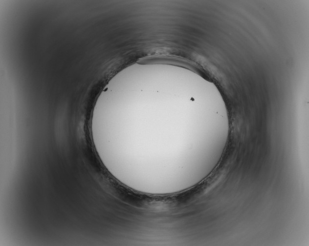 X0000096150209200802151401