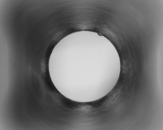 X0000096150210200802151401