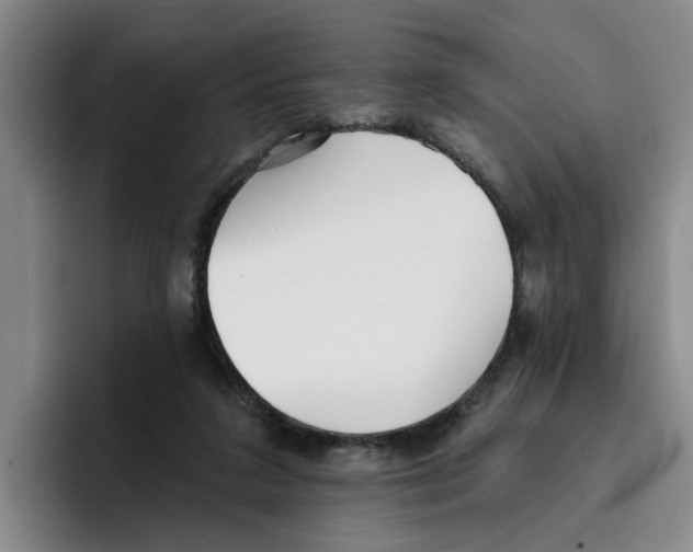 X0000096150211200802151401