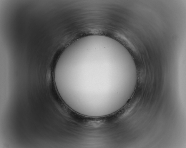 X0000096150213200802151401