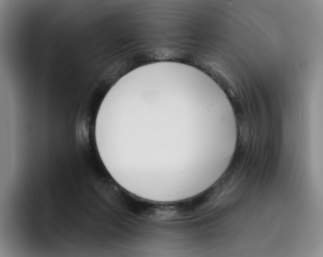 X0000096150214200802151401