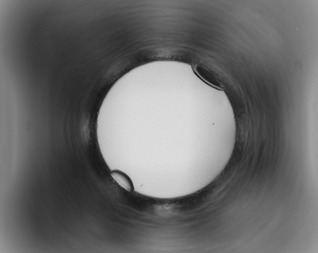 X0000096150216200802151401