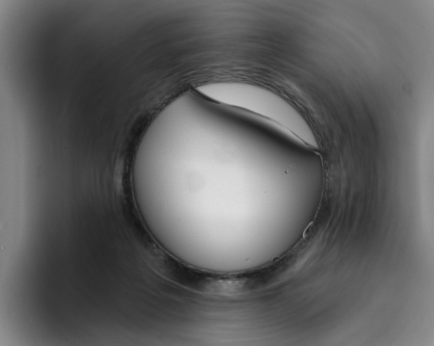 X0000096150217200802151401