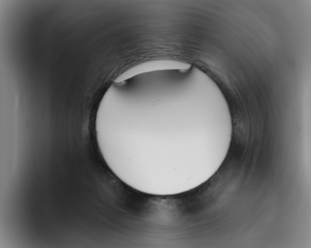 X0000096150221200802151401