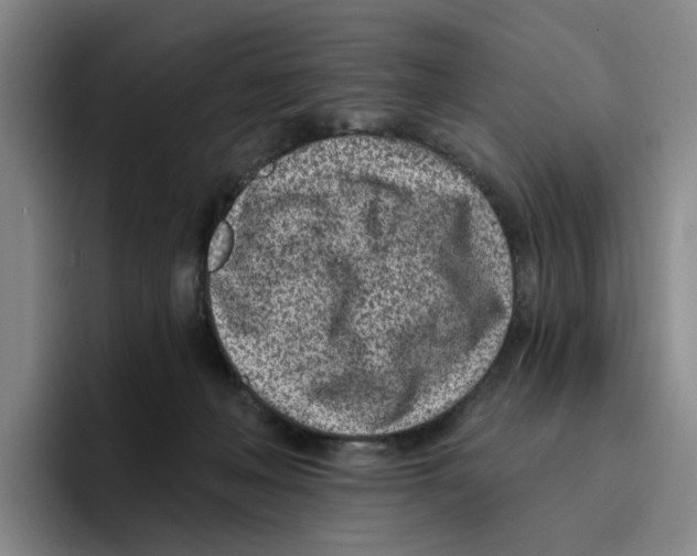 X0000096150222200802151401