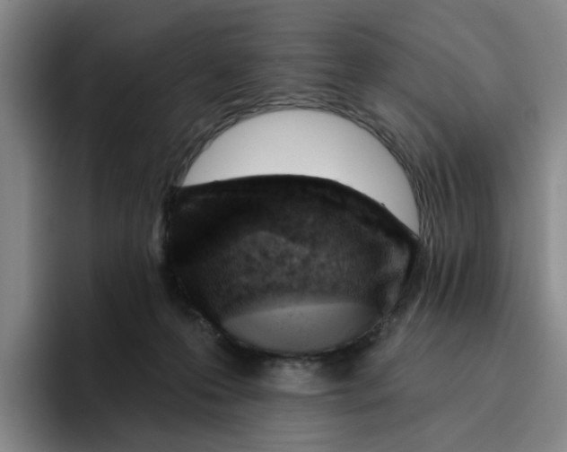 X0000096150223200802151401