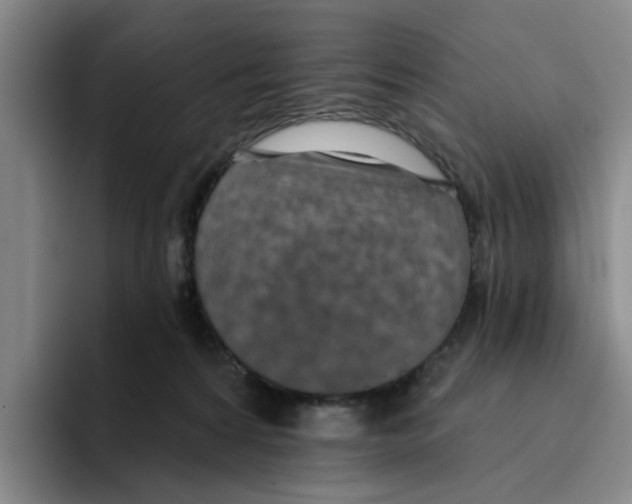 X0000096150224200802151401