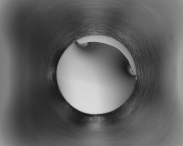 X0000096150225200802151401