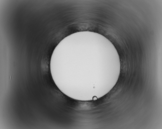 X0000096150226200802151401