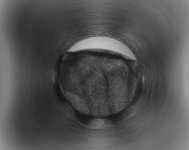 X0000096150227200802151401