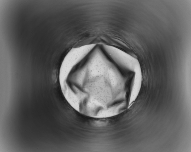 X0000096150232200802151401