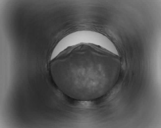 X0000096150233200802151401