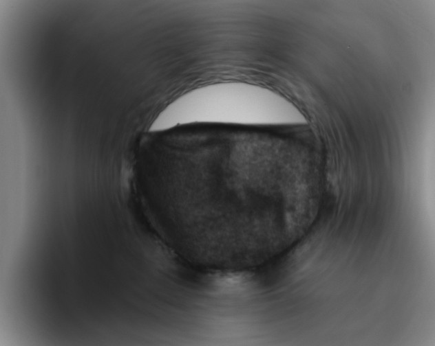 X0000096150235200802151401