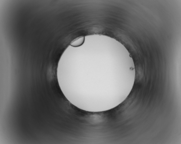 X0000096150236200802151400