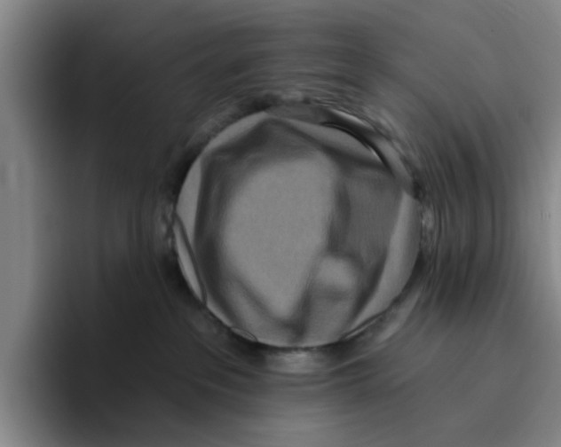 X0000096150237200802151400