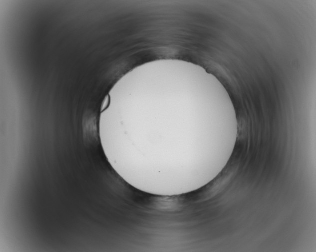 X0000096150238200802151400