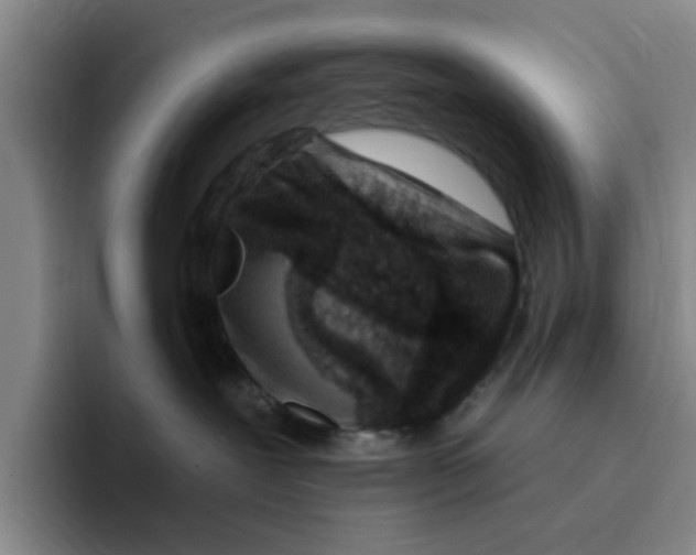 X0000096150239200802151400