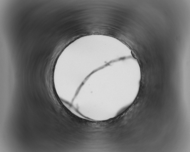 X0000096150241200802151400