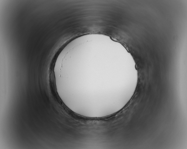 X0000096150242200802151400