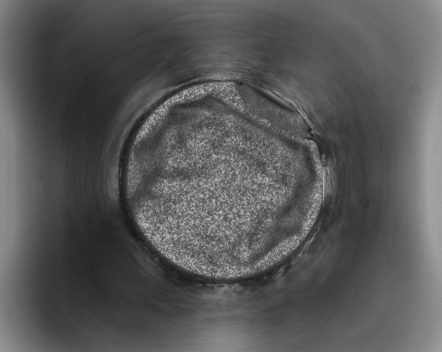 X0000096150243200802151400